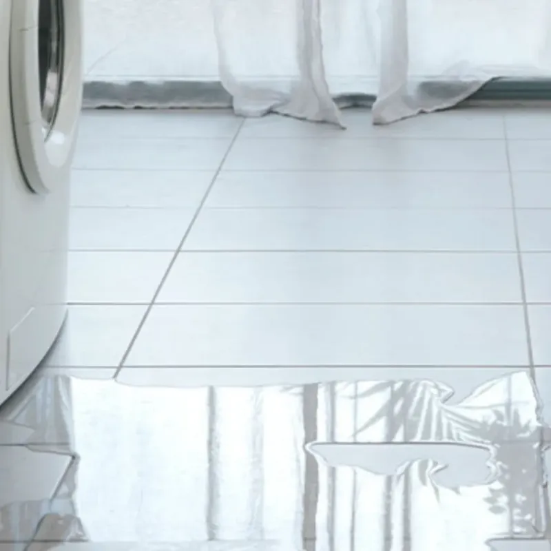 Appliance Leak Cleanup in Troutdale, OR